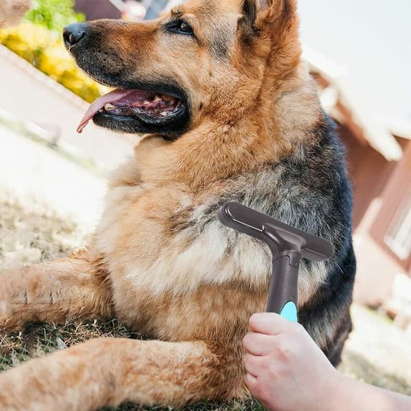 Pet Slicker Brush, Dog Brush, Double Row, Undercoat Slicker, Double Row Dog Brush, 33 Teeth, Sunny