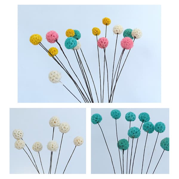Billy Ball Blomster Tørrede Blomster Kunstige Tørrede Blomster Hjem Have Dekoration