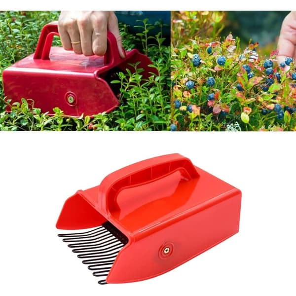 Blueberry picker with user-friendly handle and robust metal comb for a smooth blueberry picking tool