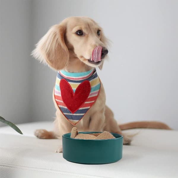 Ceramic Cat and Dog Bowl, Non-Slip Green Ceramic Bowl