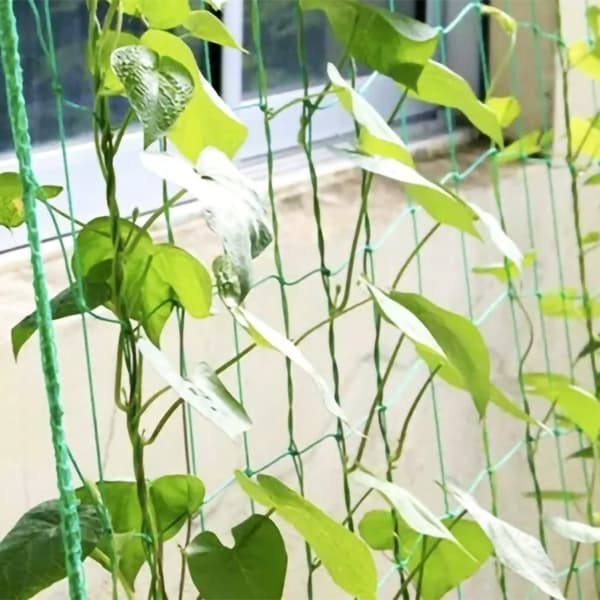 Plantenet / Støttenet til planter - 2x20m
