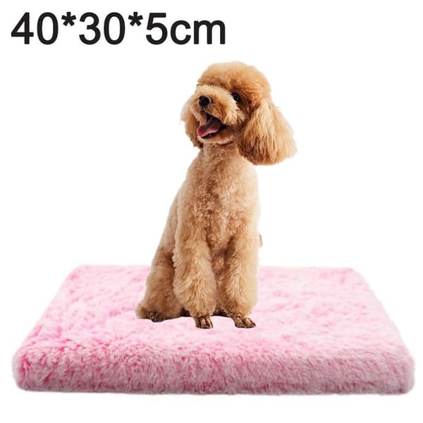 sSquare hundkoja, kattmatta, husdjurshus, djup sovande hund KLB