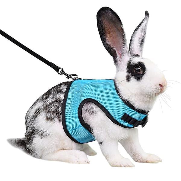 Adjustable Soft Harness with Elastic Leash for Rabbits (Size L, Blue)(L)