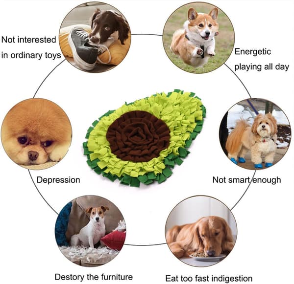 Snusemåtte - Avocadodesign med Sammenklappelig Funktion - Til Hunde og Katte - Grøn Træningsmåtte - Aktivering til Kæledyr
