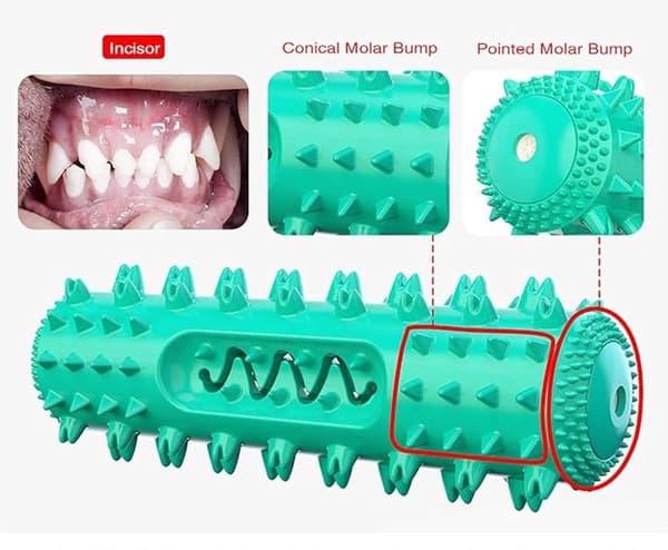 Dog Chew Stick Toothbrush, Durable TPR Teeth Cleaning Rubber with Squeaker, For Small and Medium Dogs, Teal, 18.6 Cm