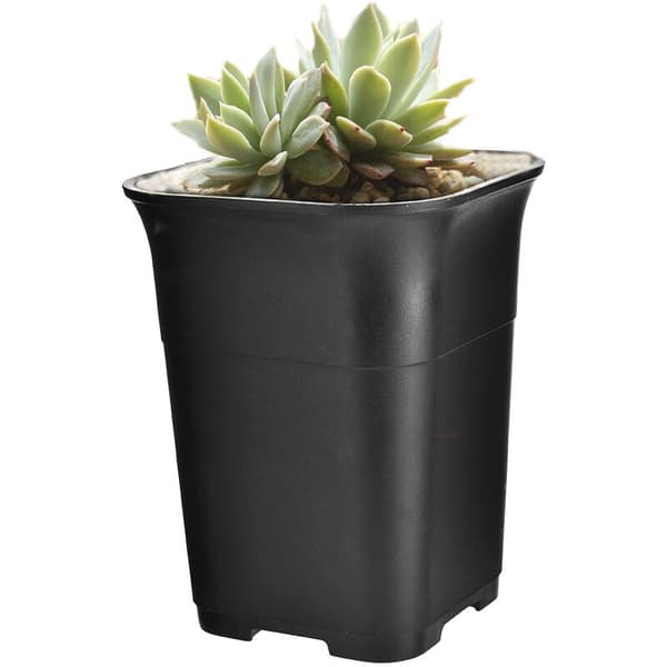 5 Pcs Black Square Tall Mini Nursery Succulent Planter Potted Small Flower Pots, L