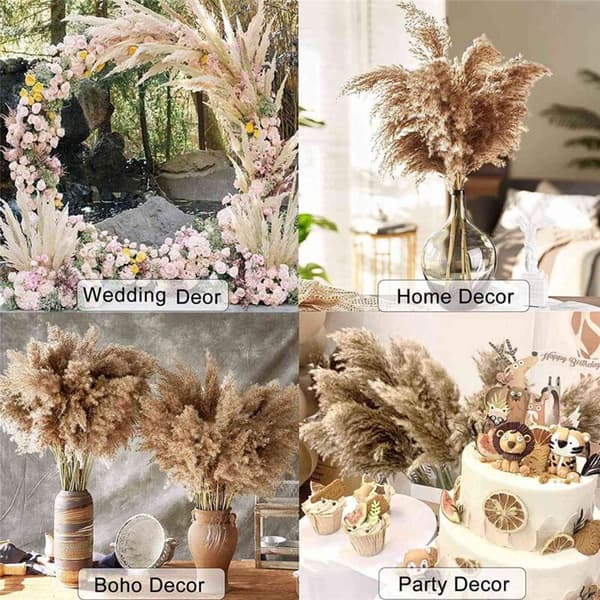 60 Stems Dried Pampas Grass, Flower Grass, 43 cm Bulk Decorative Flowers Dried Plants