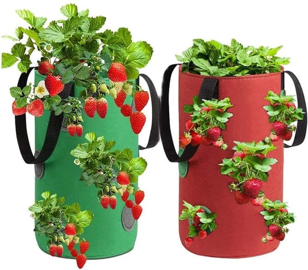 Strawberry Growing Bag, Breathable Strawberry Bag