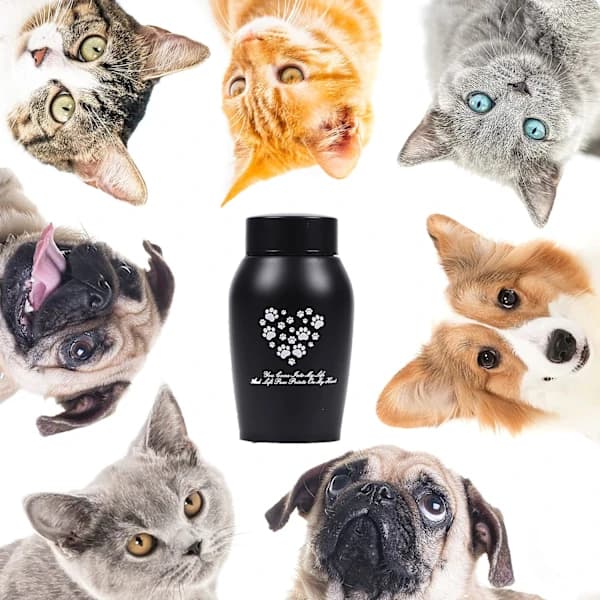 Urn for pet cremation