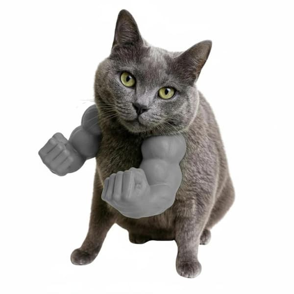 Hulkens arme til kat og hund Sjov cosplay-rekvisit | PawSmart grå M grå m