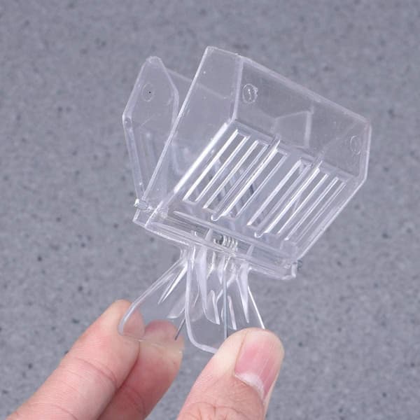 5 Pcs Plastic Clips Compatible Queen Bee Cell Catcher (Transparent) Durable