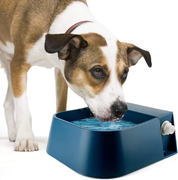 Pet Drinker, Automatic Bowl Drinker with Float Valve, for Dog (2L, Blue)