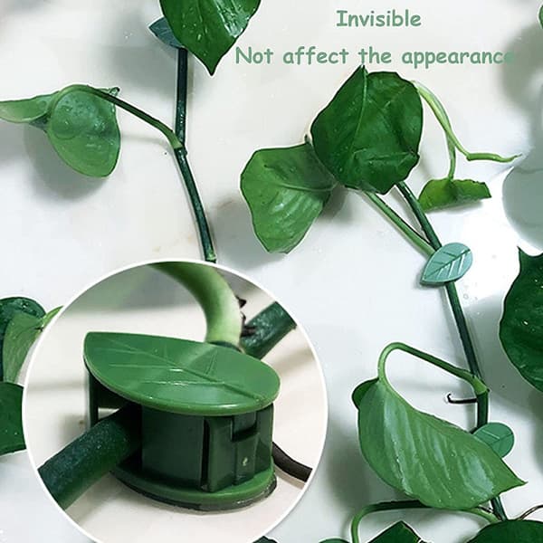 Plant Clips for Climbing Plants, Support for Climbing Plants, 20 Pieces Wall Mounts