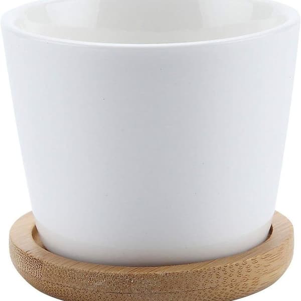 6,5 CM Potter til sukkulenter Kaktusplanter Mini urtepotter Base