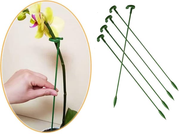 Klätterväxtstöd för Orkidéer - 30cm, med Stödring, He