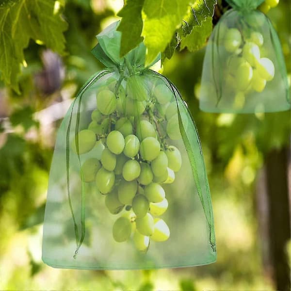 Cluster Protection Bag 30x20cm*50pcs Grape Fruit Organza Bag with Drawstring Provides Total Protection