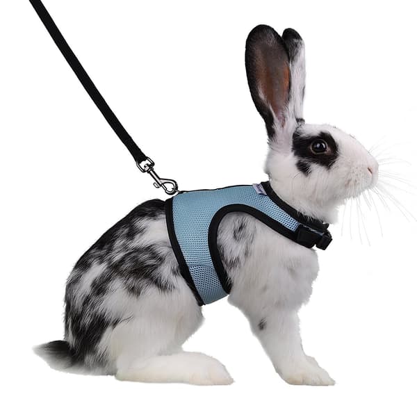 Adjustable Soft Harness with Elastic Leash for Rabbits (Size L, Blue)(L)