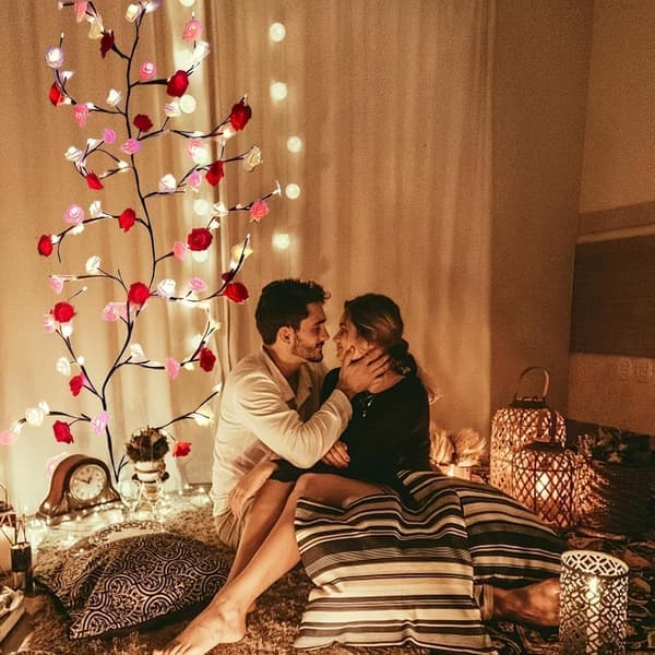 Rose LED Tree Branch Lighting 72 LED 8 Modes Remote Control 157cm Wall Decor String Light [Ho]
