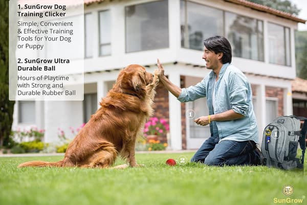 7 hundklickers med handledsrem, 5 cm, färgglada och praktiska, S