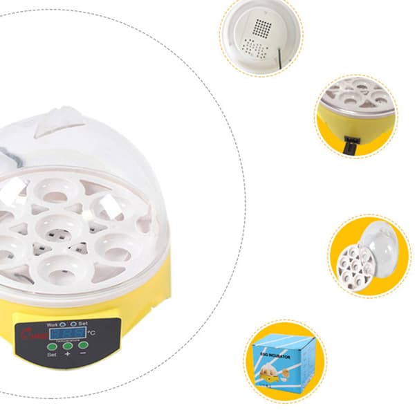 Automatic Egg Incubator with Temperature Control, 7-Egg Capacity for Chicken Hatching, Family Farm, and Easter Decoration