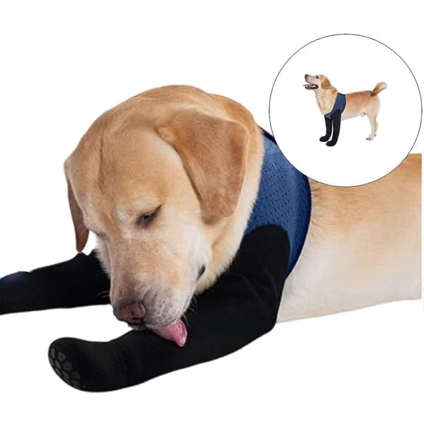Dog Shoes for Paw Healing Post-Surgery Support Non-Slip Keeps Paws Safe During Exercise for Front Paws S S S