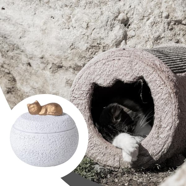 Compact Pet Memorial Urn with Lid 350ml Cement Base White