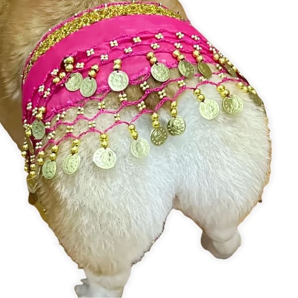 Hundenederdel med pailletter – Mavedanserkostume til hunde