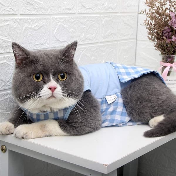 Professional Cat Recovery Suit, Abdominal Wound Surgical Clothes, Grid Design for Cats, Post-Surgery Collar Cone Alternative, Blue