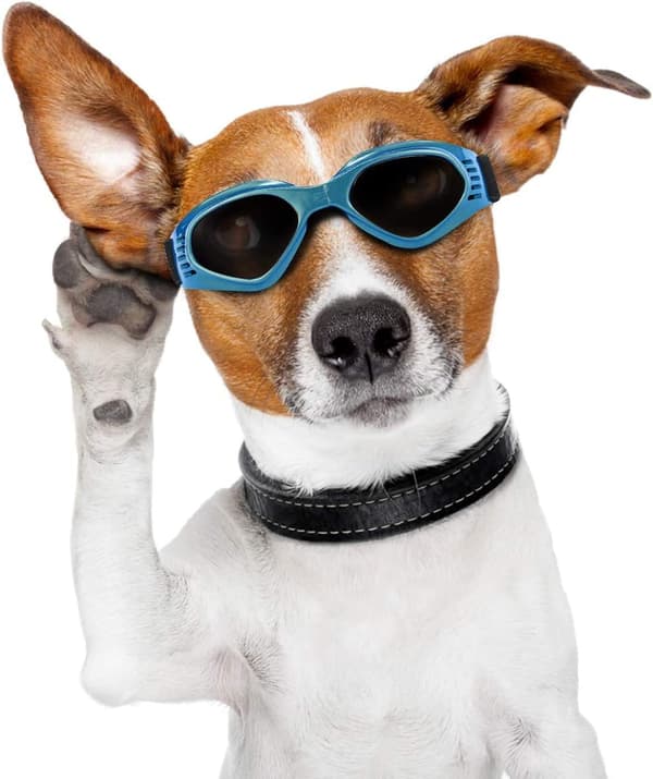M-Dog solbriller, kæledyrssolbriller, foldbare hundebriller UV-beskyttelse solbriller (sort)
