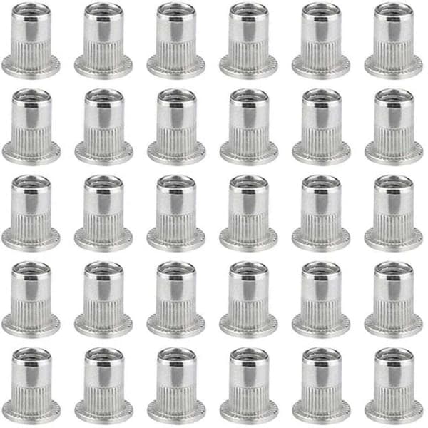 100 stykker M6 Flat Hode Nittemutter, Rustfrie Nittemuttere, Flat Hode Gjengeinnsats, M6 Nittemutter, M6 Nittemutter, fra DEBUNS