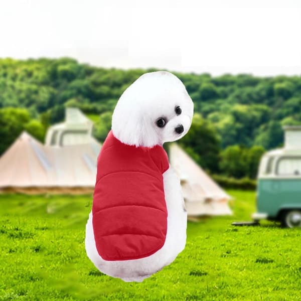 Extra varm vinterhundhoodie med fleecefoder för små hundar XS