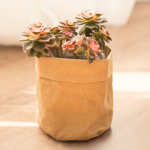 Succulent Plants Pot Garden Desktop Storage Basket Sundries Pen Storage Organizer Decor -Brown
