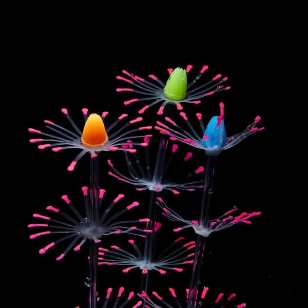 Strip Coral Plant Ornament Glowing Effect Silicone Pink KLB