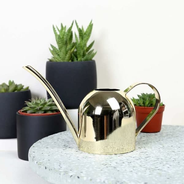 Vandkande i rustfrit stål til indendørs planter Hjem Lang tud Havevandkande til indendørs planter 500 ml (Guld)