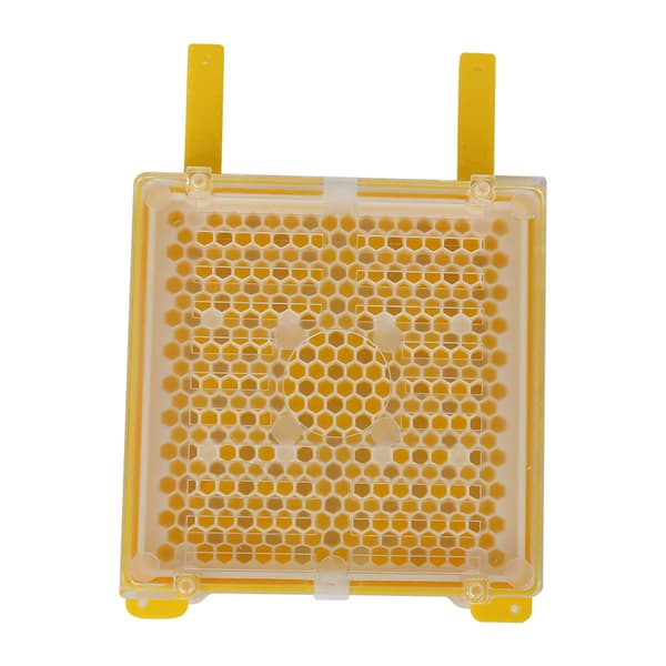 Queen Rearing Kit Queen Cell Protective Cover Complete Bee Breeding Set for Beekeepers