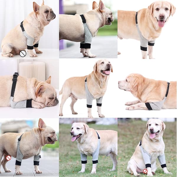 Hundbensskydd för valpar, mjukt hundbensskydd för framben, hundbensskydd för husdjur