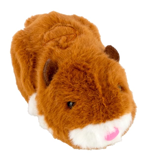 Zhuzhu City Hamster