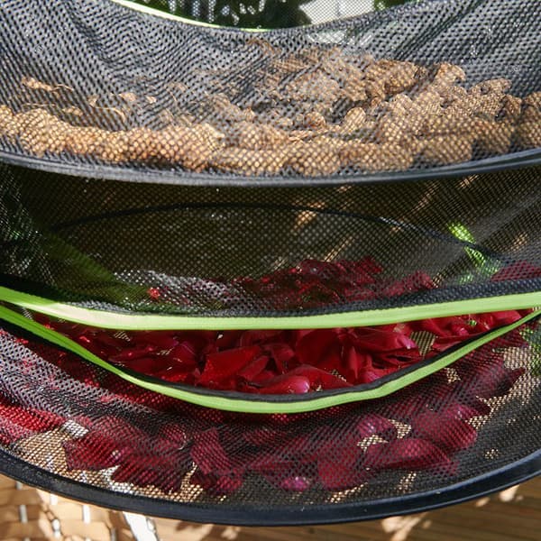 6-lags Net til Tørring af Planter Hængende Sammenklappeligt Net Sort Krage
