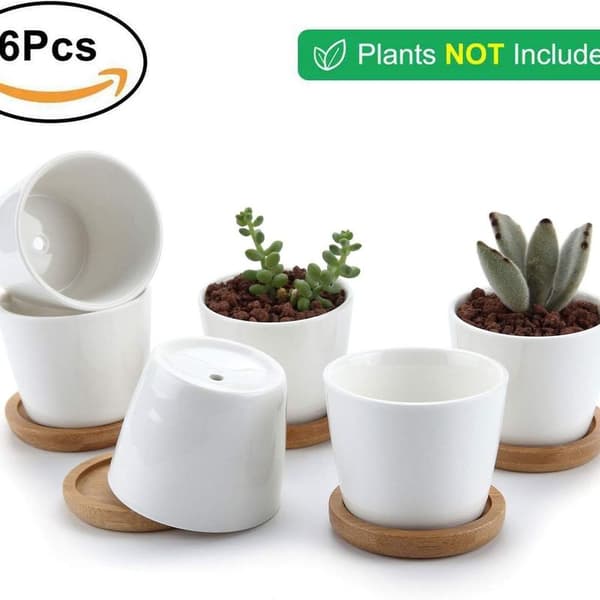 6,5 CM Potter for Succulents Cactus Plants Mini Flower Pots Base