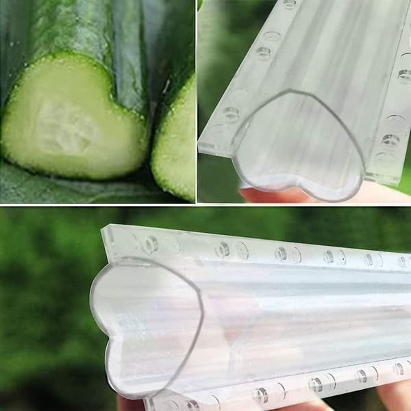 4-pack Cucumber Mold Transparent Vegetable Fruit Plant Mold Growth Observation