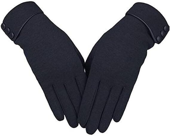 2 Pairs Thick Lined Windproof Touchscreen Gloves for Women DXGHC