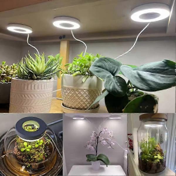 Full Spectrum LED Grow Light Auto On/Off Timer Ceiling Under Cabinet Halo Plant Light Yellow and White Light 1 pc