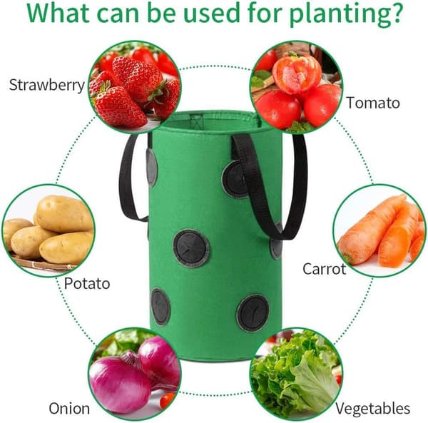 Strawberry Growing Bag, Breathable Strawberry Bag