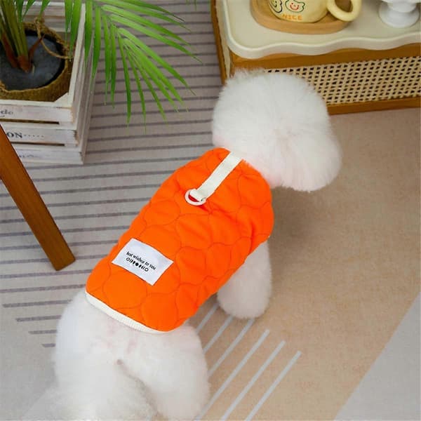 Hundeklæder Efterår og Vinter Teddy Kat Dyreklæder Vinterdyr Bomuldsjakke Orange