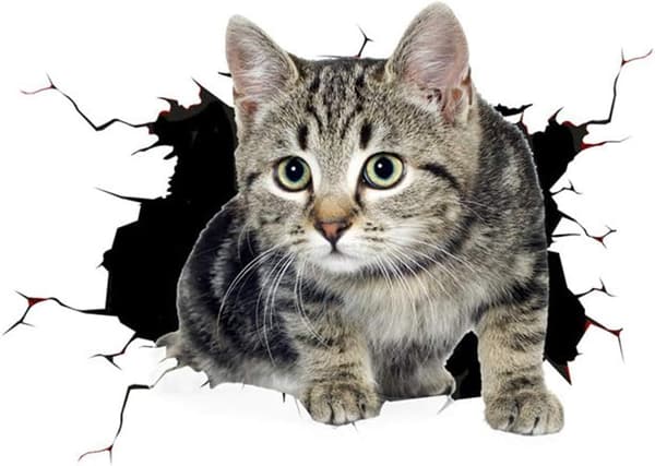 Sød kat bilmærkat 3D bilskrabe okklusion sød bilmærkat C