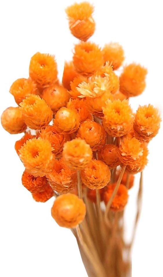 Orange - Kunstige blomster, tørret buket naturlig buket tørrede