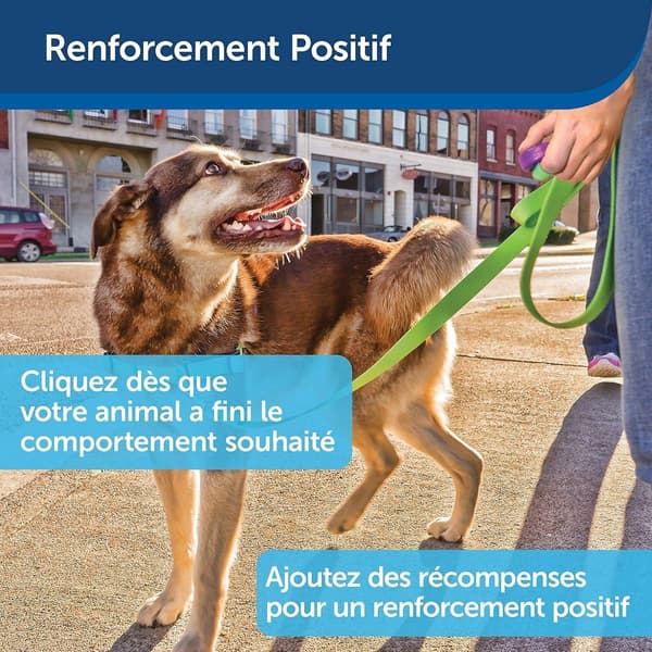 Hundetræningsklikker - positiv adfærdsforstærker til KLB