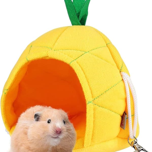 Ananas hamster blødt hår hamster hus seng små dyr hamster hængende hus KLB