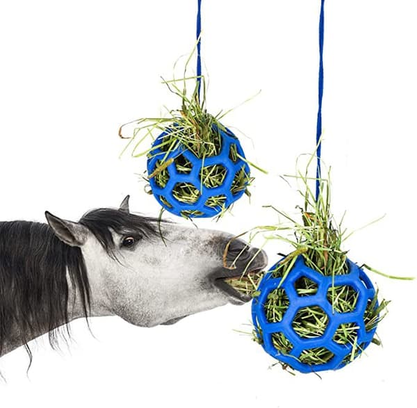 2-pack Horse Feeding Balls, Heavy Duty, Blue, Forage and Grain