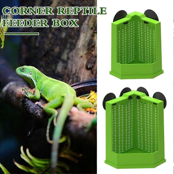 Large B Lizard Gecko Bearded 2026 Global Trend - Sustainable design optimized for high-performance use. M 1pcs M 1pcs